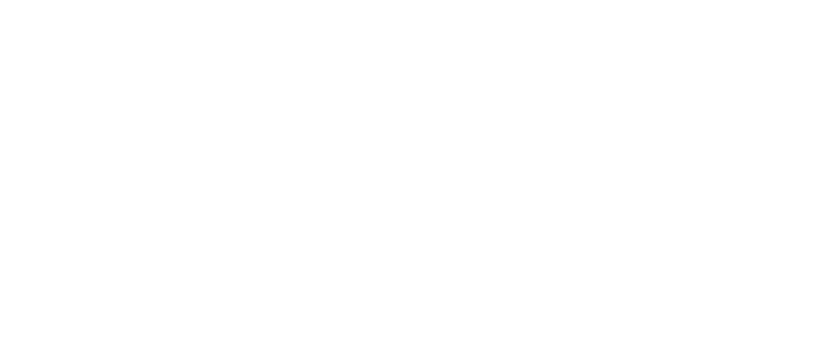Bluvax logo